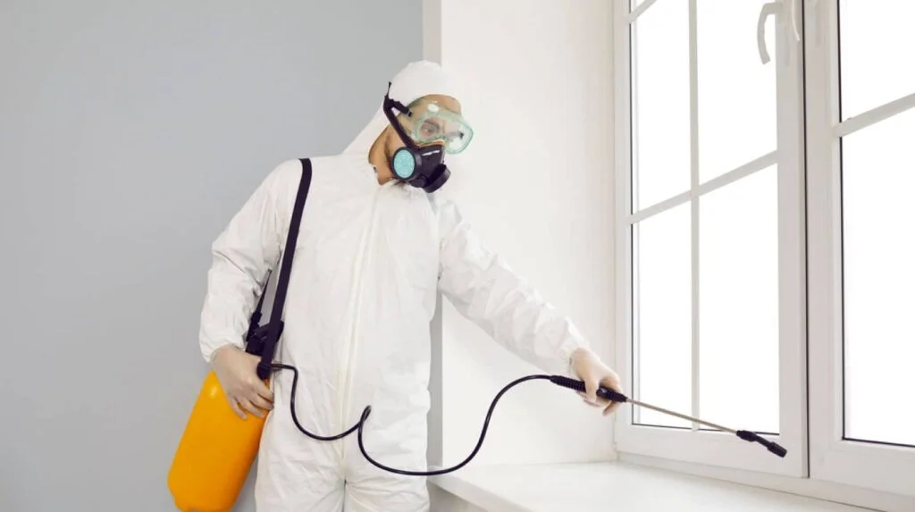 Servicio urgente de control de plagas en Valdemoro: chinches, sarna, legionella y aire interior.